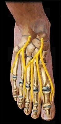 lábfej ideggyulladás térdízületi kenőcs tabletta artrózisa