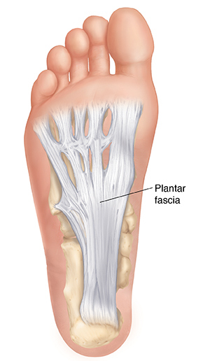 lábujjak zsibbadásának okai erős fájdalomcsillapítók a csípőízület fájdalmaira
